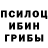 Псилоцибиновые грибы MAGIC MUSHROOMS kiber io