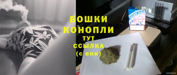 сатива Баксан