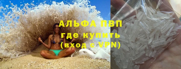 сатива Баксан