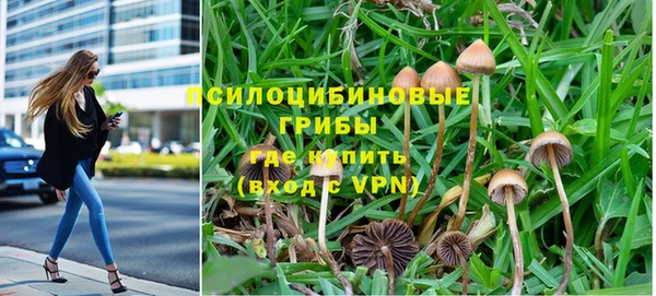 сатива Баксан