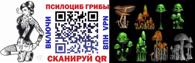 площадка телеграм  купить наркотики цена  Красновишерск  Псилоцибиновые грибы MAGIC MUSHROOMS 