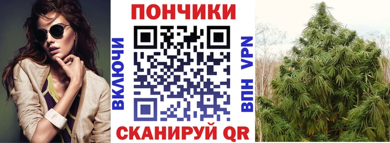 Бошки марихуана SATIVA & INDICA  кракен ссылки  Красновишерск 